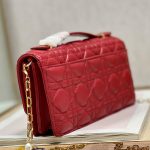 MISS DIOR MINI BAG
