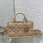 Mini Dior Book Tote(high-end grade)