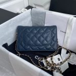 Chanel classic chain wallet