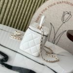 CHANEL Long Vanity with chain