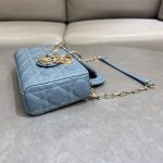 Dior Small Lady D-Joy Bag(high-end grade)