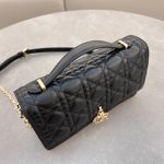 My Dior Top Handle Bag