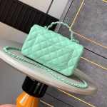 CHANEL Mini Flap Bag with Top Handle(high-end grade)