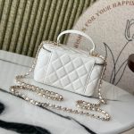 CHANEL Long Vanity with chain
