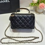 CHANEL Long Vanity with chain