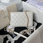 CHANEL CAMERA BAG