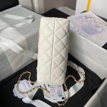 CHANEL Clutch with Chain