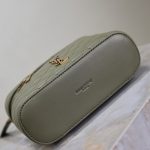 YSL GABY vanity bag in lambskin