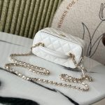 CHANEL Long Vanity with chain