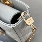 Dior Small Lady D-Joy Bag(high-end grade)