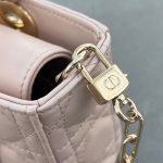 Dior Small Lady D-Joy Bag(high-end grade)