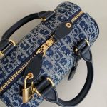 Dior Groove 20 Bag