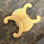 CELINE TEEN NINO BAG IN TRIOMPHE CANVAS
