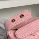 CHANEL Classic Hobo with Chain(High-end Grade)
