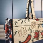 DIOR BOOK TOTE light bag