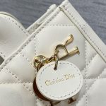 Mini Dior Book Tote(high-end grade)