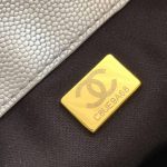 CHANEL 25 Small Handbag(HIGH-END GRADE)