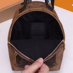 LV Palm Springs Mini Backpack