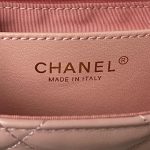 CHANEL MINI FLAP