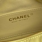 CHANEL Classic Hobo with Chain(High-end Grade)