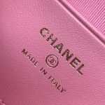 CHANEL Classic Hobo with Chain(High-end Grade)
