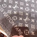 LV Monogram Jacquard Denim Shawl