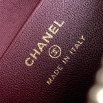 CHANEL 25C hobo bag