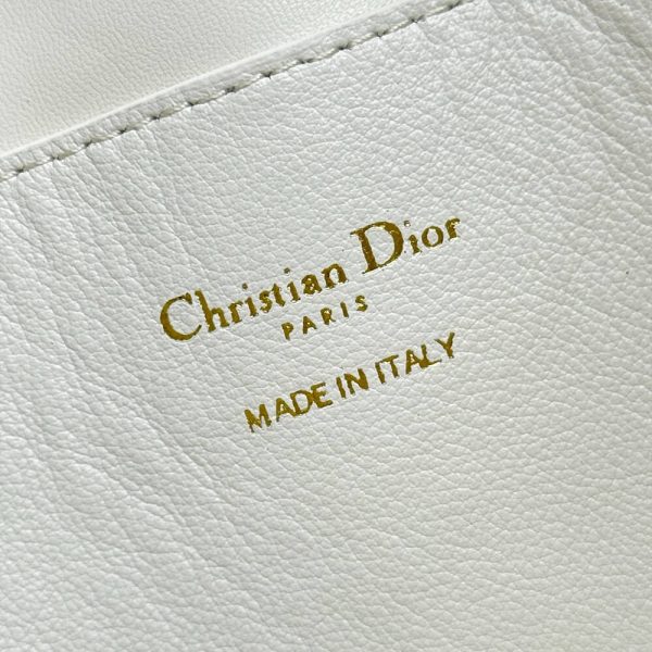 Dior Walk in Dior Purse
