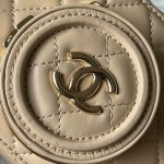 CHANEL CAMERA BAG