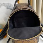 Louis Vuitton PALM SPRINGS PM