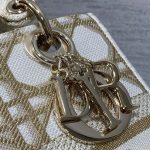 Dior Medium Lady D-Lite Bag