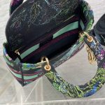Dior Medium Lady D-Lite Bag