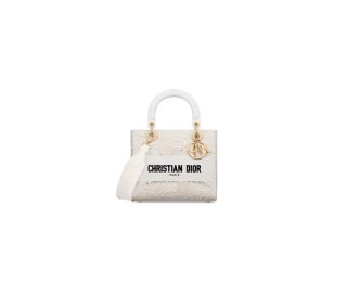 Dior Medium Lady D-Lite Bag